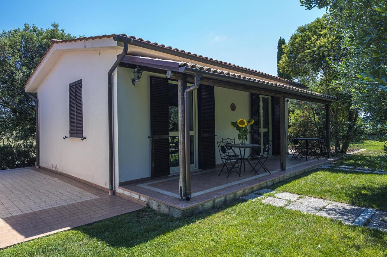 Agriturismo Il Fontanile マルシリアナ エクステリア 写真