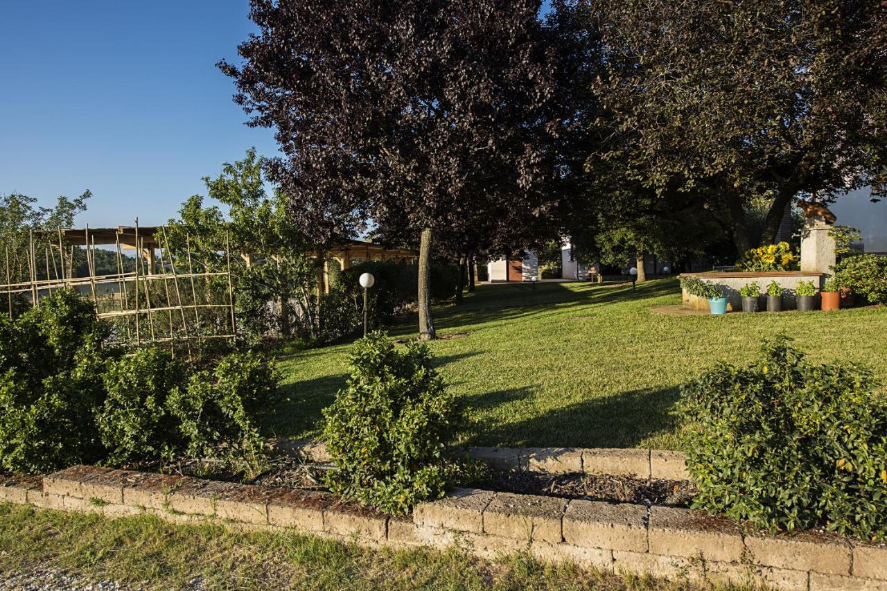Agriturismo Il Fontanile マルシリアナ エクステリア 写真